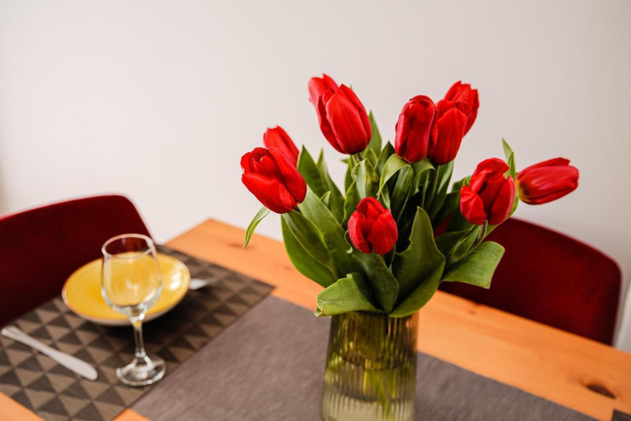 City Apartment Dorobantilor คลูจ-นาโปกา ภายนอก รูปภาพ